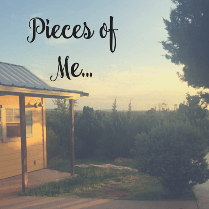 pieces of me (5)