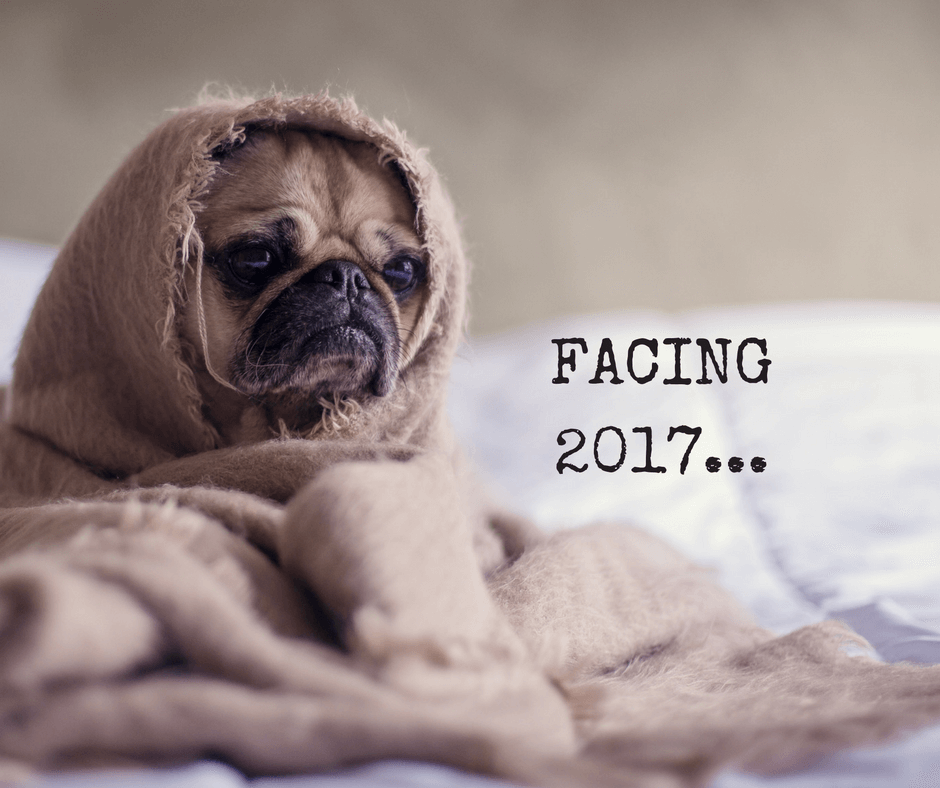 Dear New Year Mom: FEAR NOT 2017
